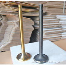 Engine Valves 160A